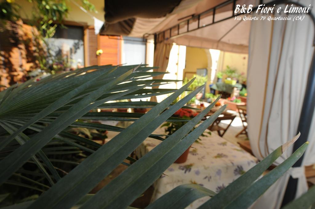 Bed and Breakfast Fiori E Limoni Куартуччу Экстерьер фото